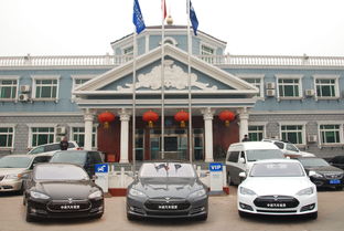 中進汽車租賃穩步推進新能源汽車租賃業務